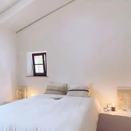 Monte Cucs - The Nature House *